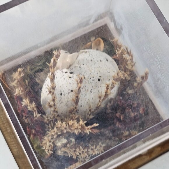 Decorative Glass Display Cube Hagen Renaker Pink Bunny Figurine Egg Dried Plants - Picture 8 of 9